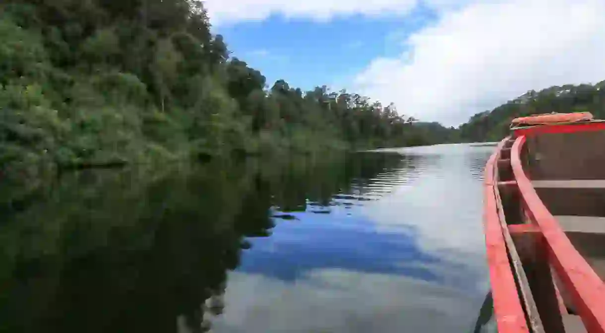 Llanquihue National Reserve