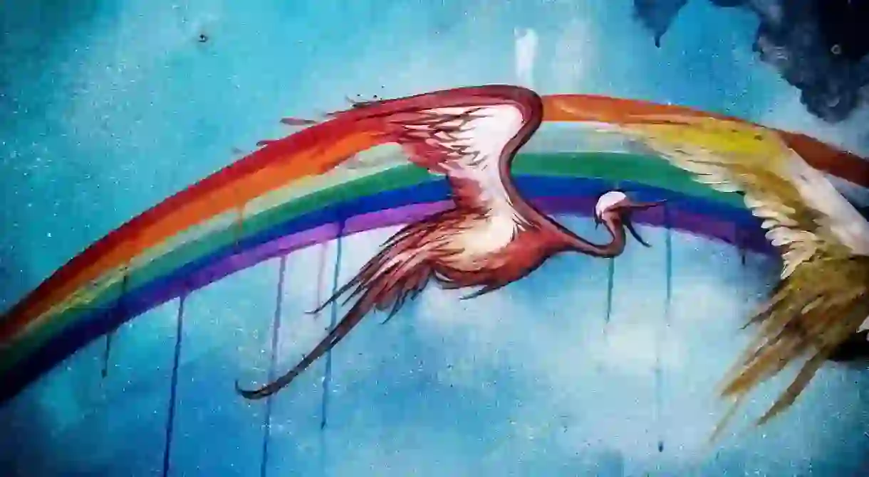 Rainbow Birds