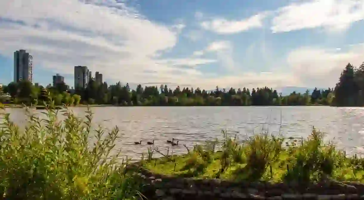 The Lost Lagoon in Stanley Park