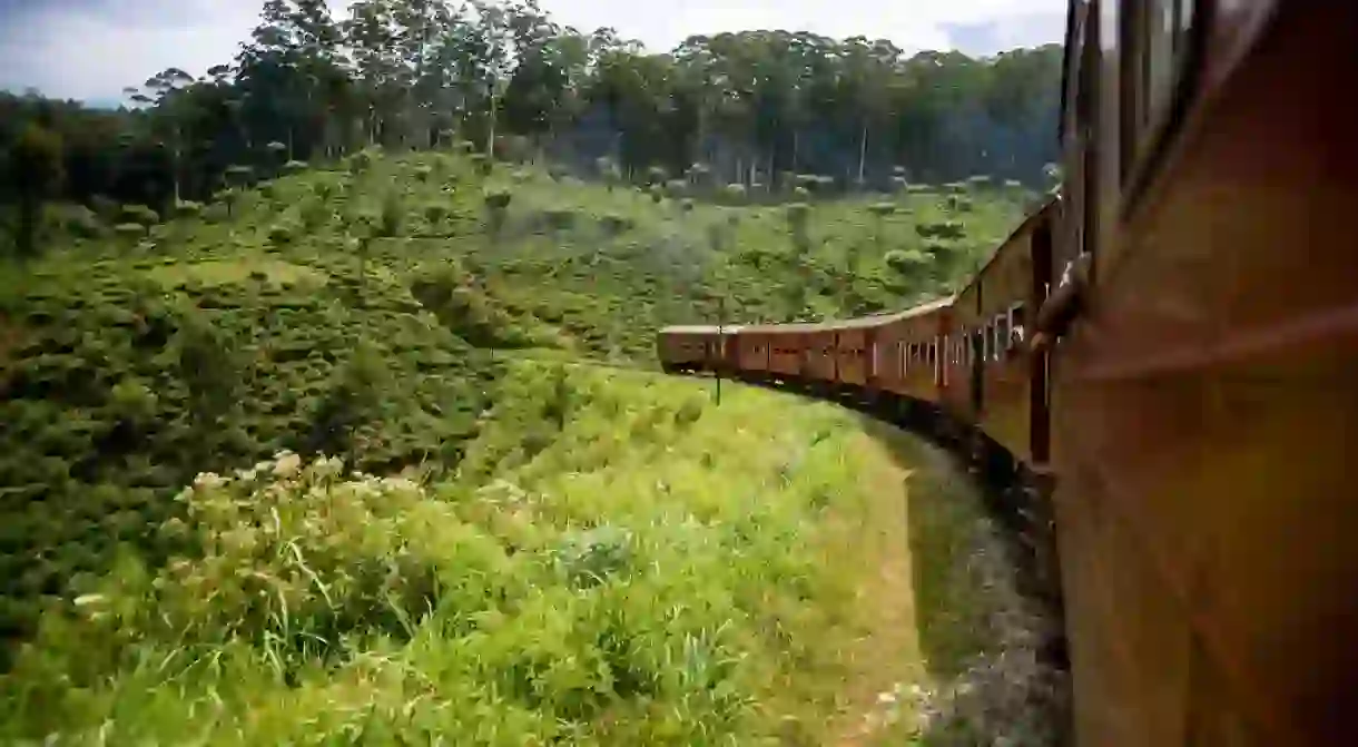 Train traveling through the Hill Country