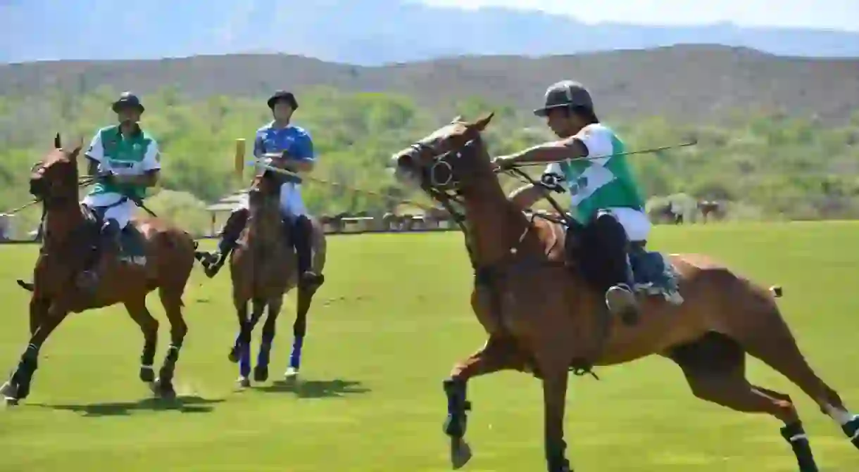 Polo in San Luis, Mexico