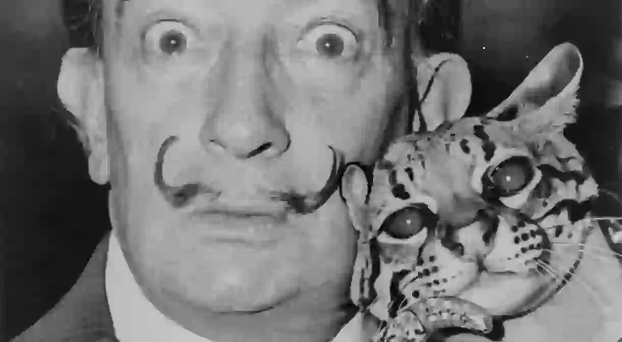 Salvador Dali with Babou, the ocelot and cane