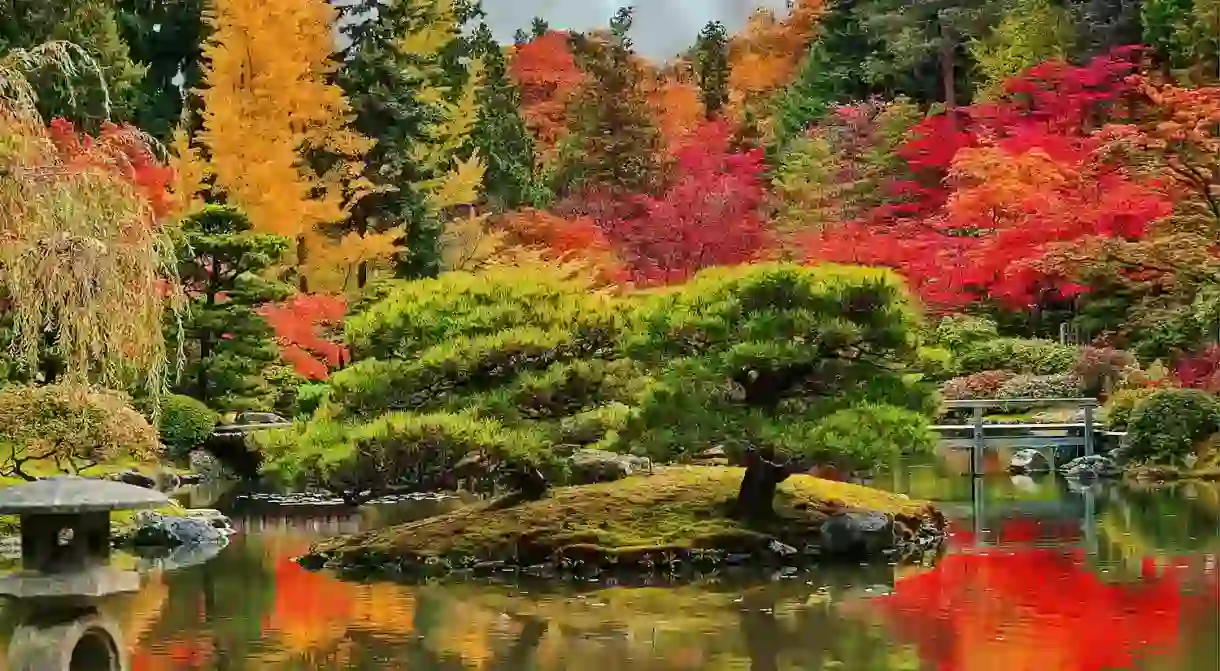 Japanese Garden in Seattle during autumn