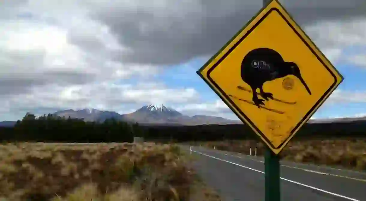 Kiwi Crossing Sign Near Tongariro National Park