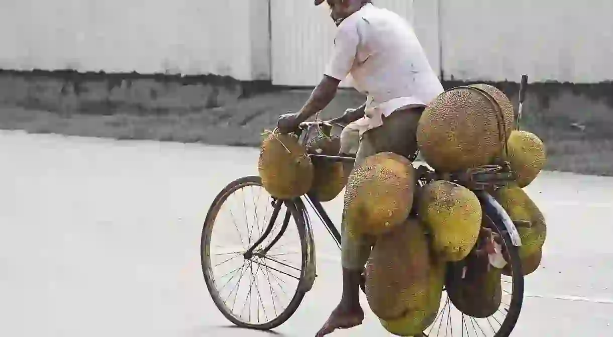 Jackfruit carrier