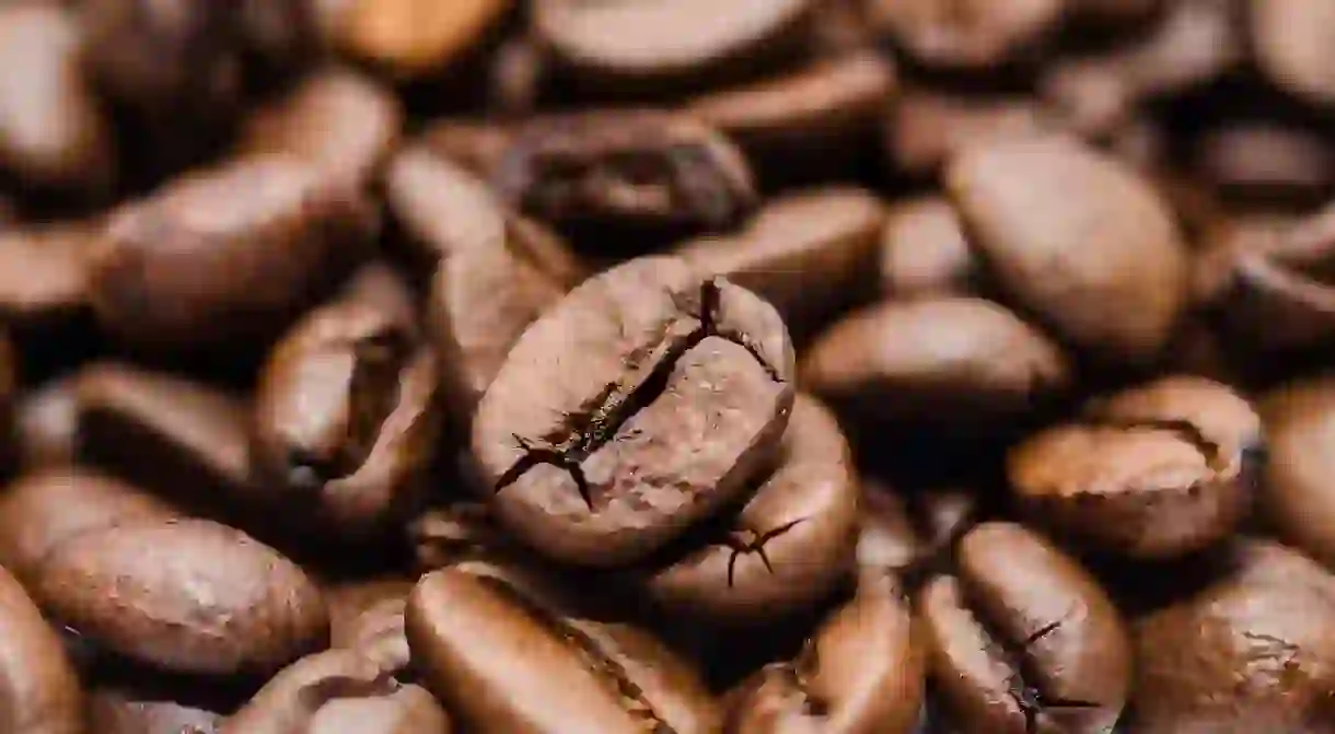 Coffee beans, before they are mixed with chickpeas