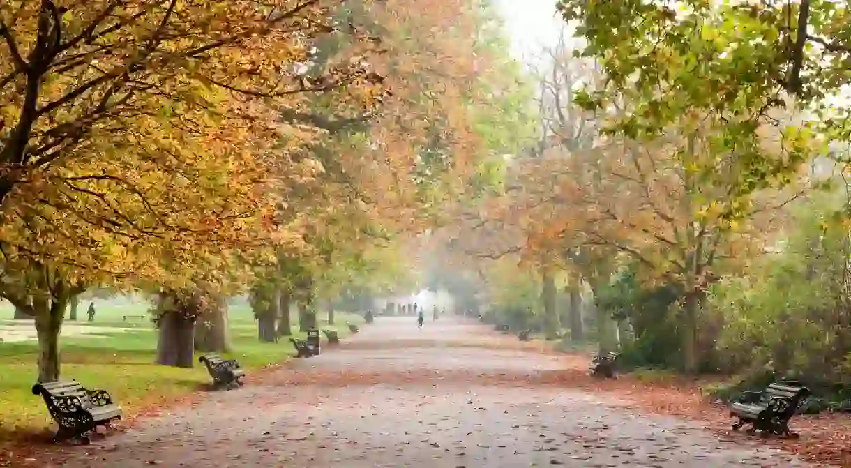 Regents Park in autumn, London, England.