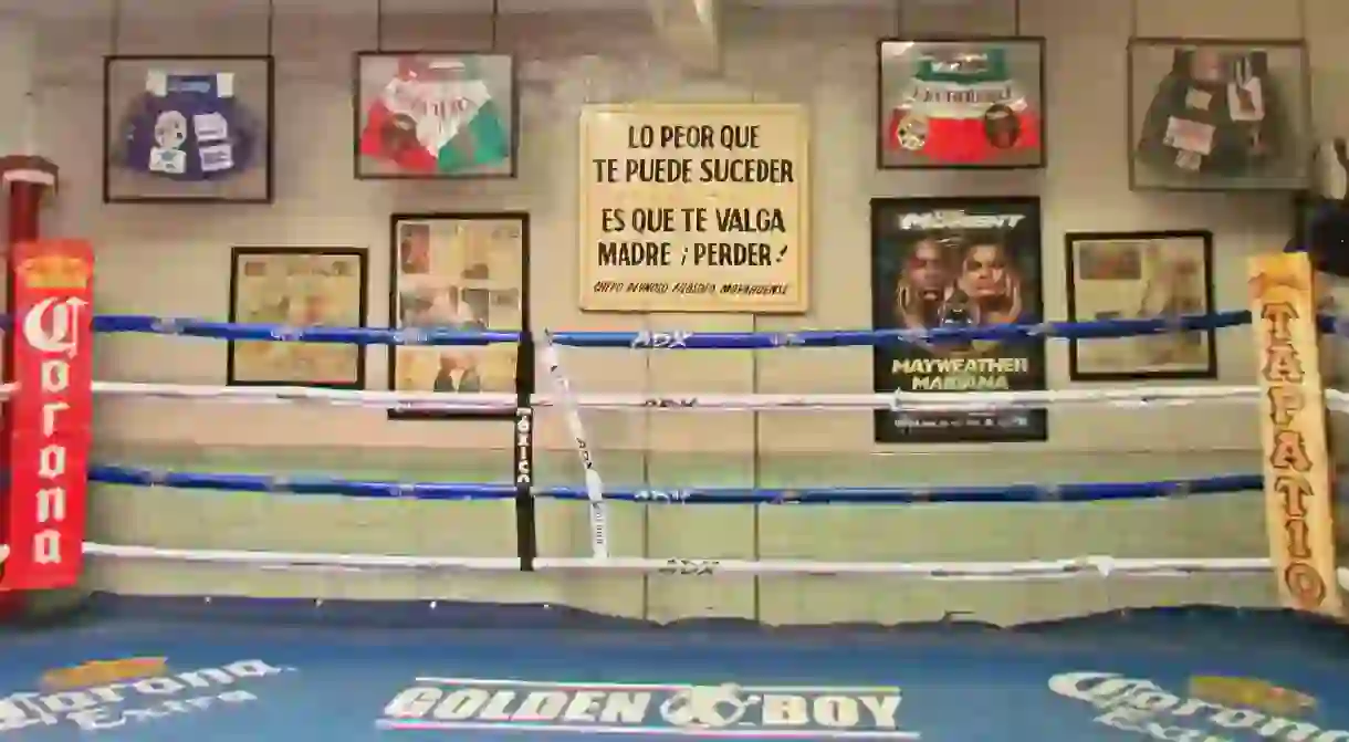 The Julián Magdaleno Gym