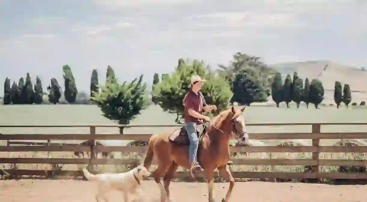 Courtesy Hepburn Lagoon Trail Rides