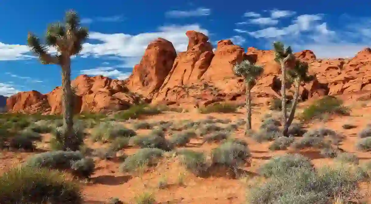 Gold Butte National Monument