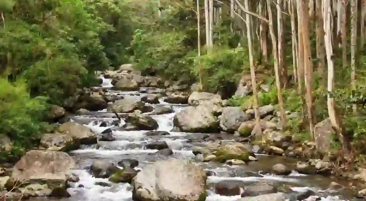 Boquete, Panama