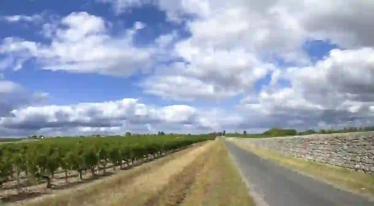 Drive past some of the most prestigious wine properties in the Médoc