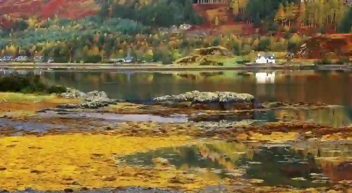 Autumn Colours In The Scottish Highlands