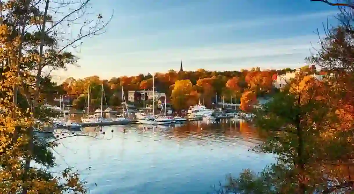 An autumn view on Waldemarsudde bay in Stockholm, Sweden