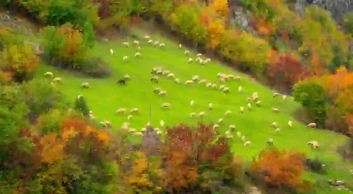 Autumn in Bulgaria