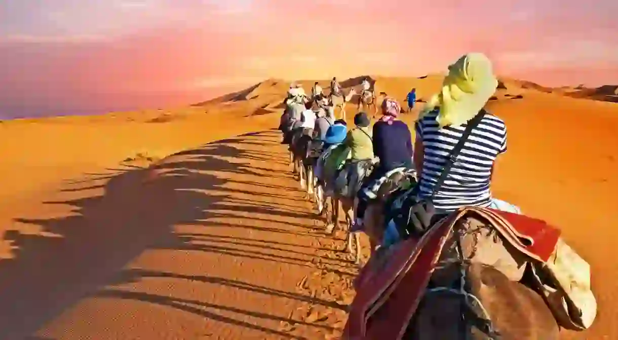 Camel caravan going through the desert in Morocco