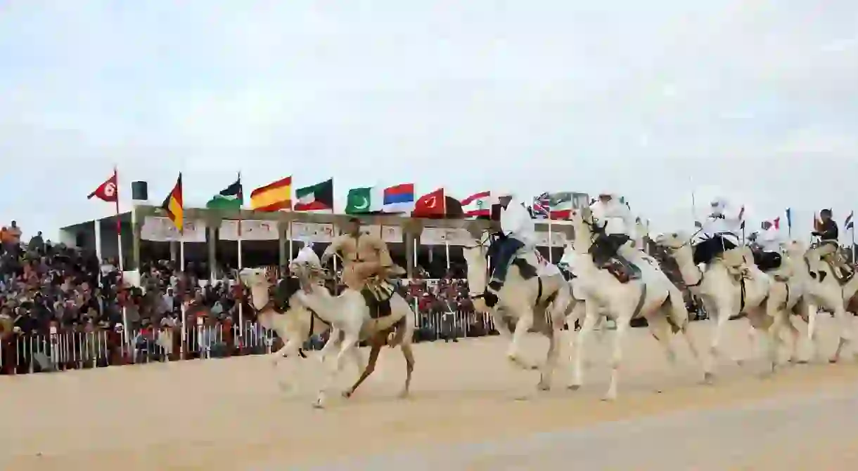 Camel race