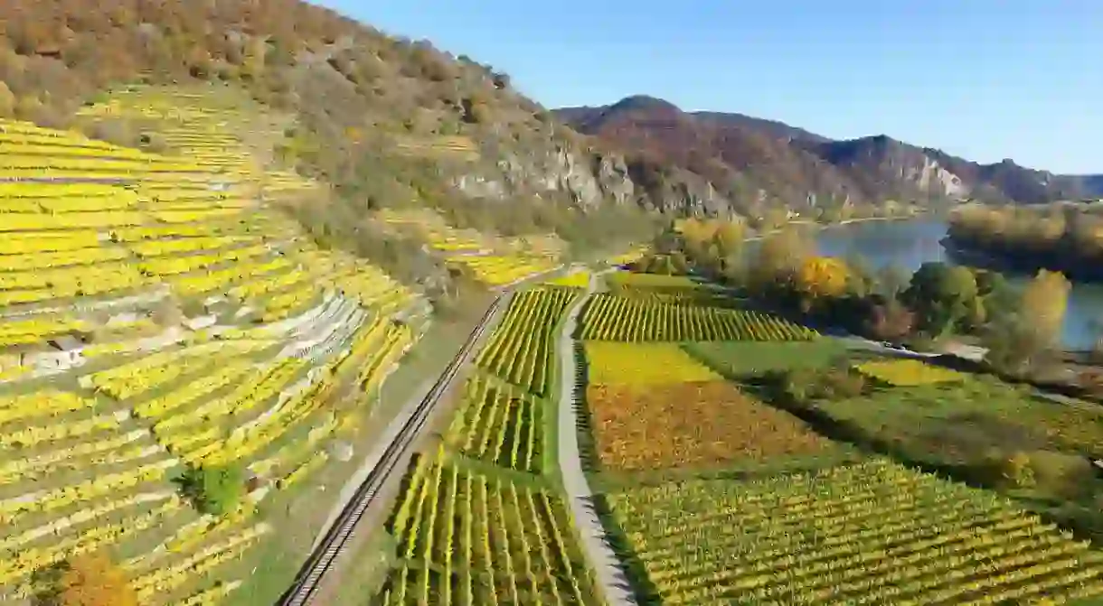 Vineyards in the Middle Rine