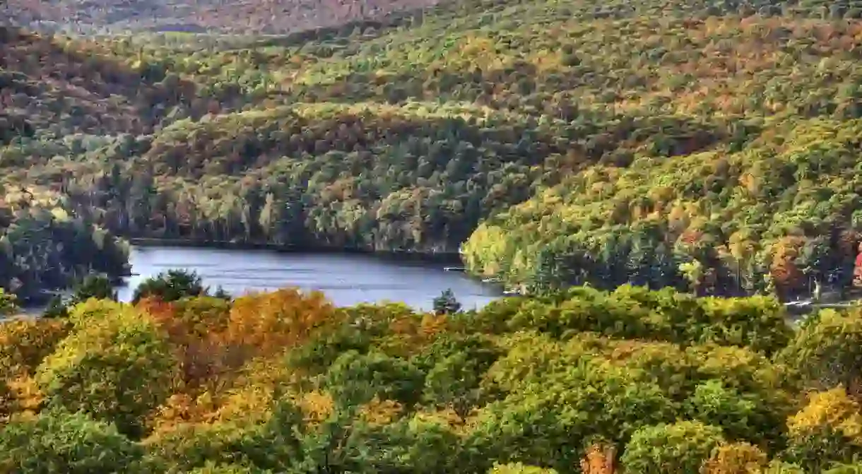 Fall in Algonquin Provincial Park