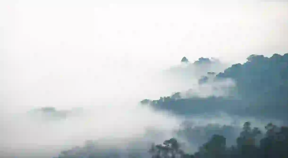 Mist over Kaeng Krahang National Park