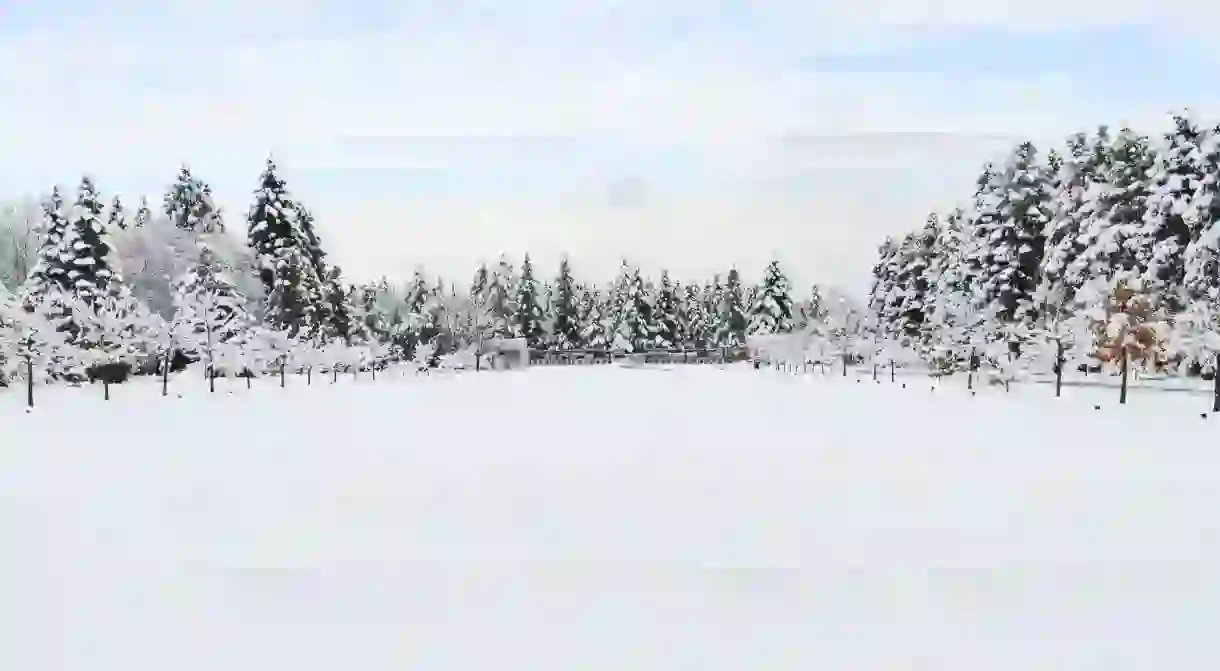 Winter in Sofia, Bulgaria