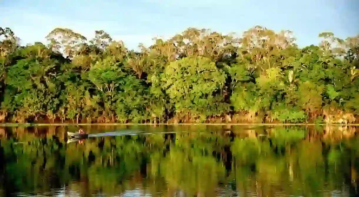 Amazonia, Brasil