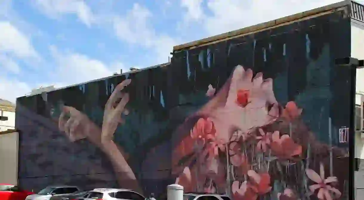 Bezt Mural, Dunedin