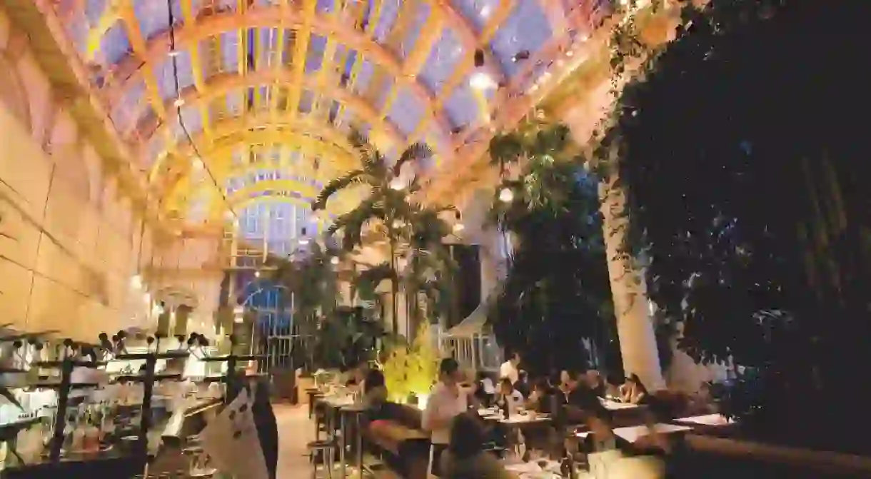 Inside the Burggarten palm house