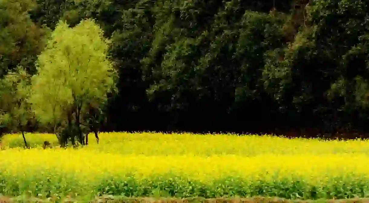 Wuyuan, Jiangxi