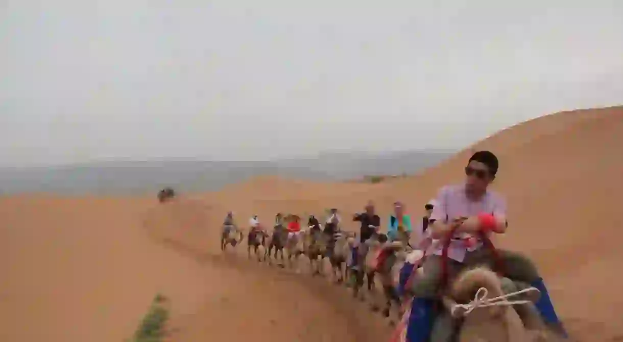 Camel Riding in Ningxia