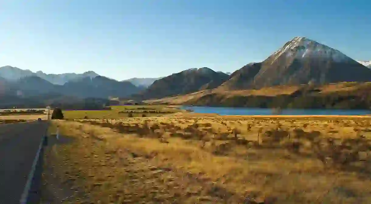 New Zealand landscape