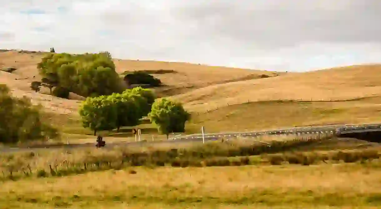 Cycling in New Zealand