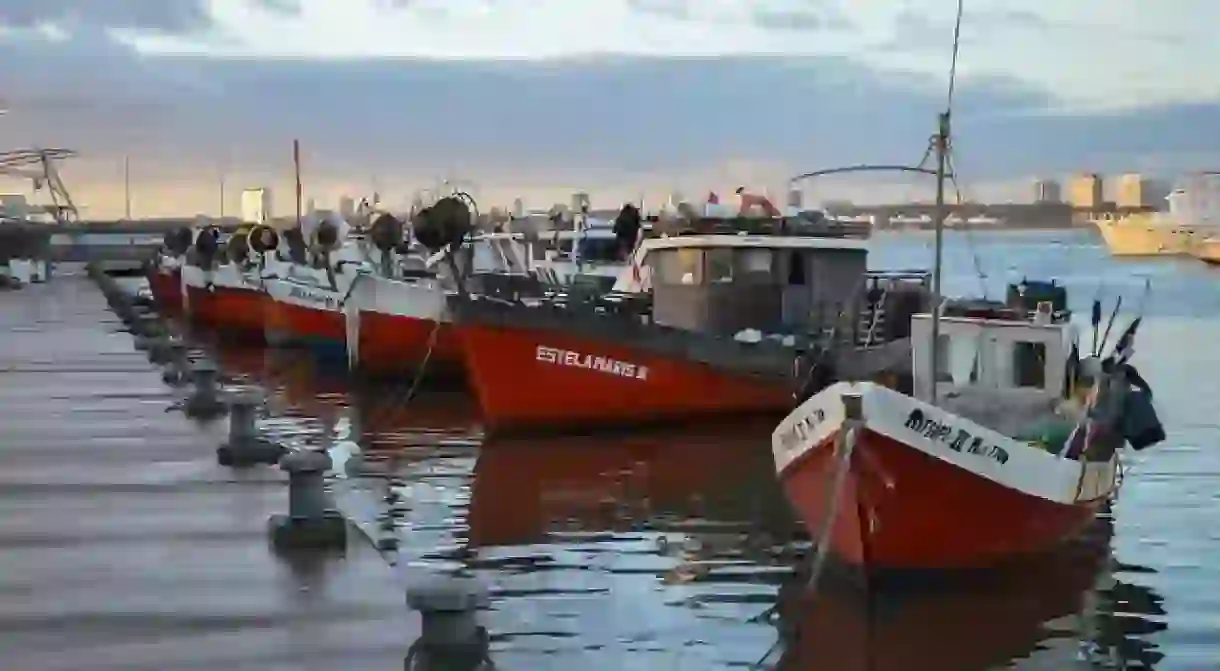 Port in Punta del Este