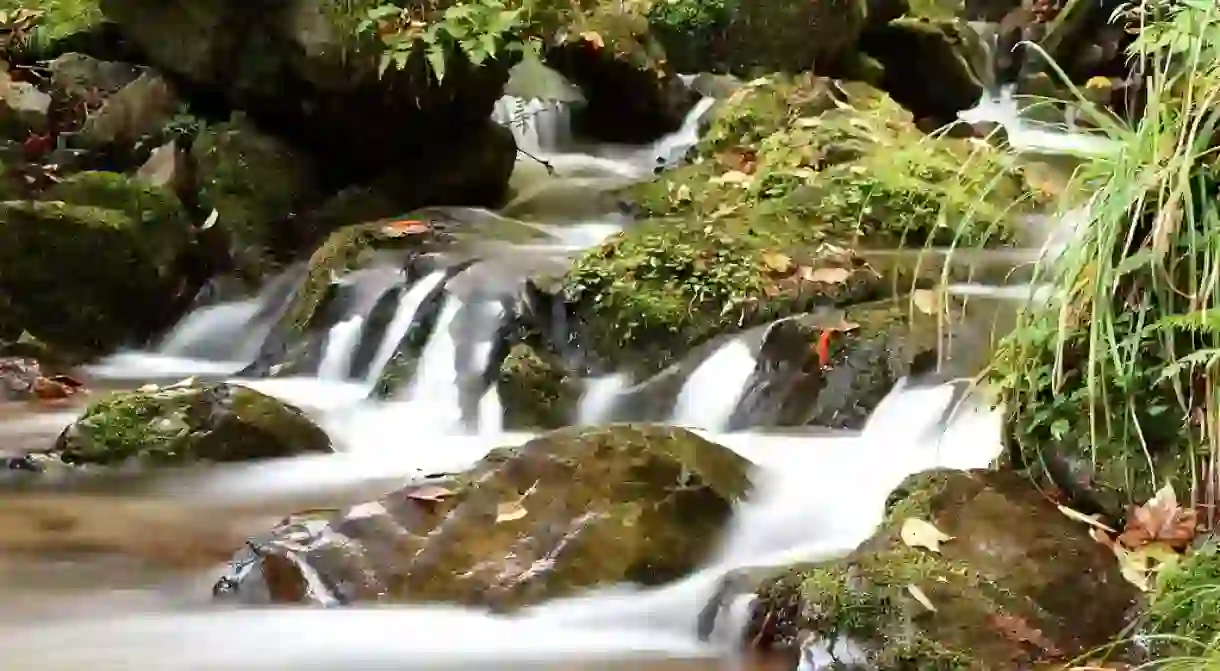 Autumn on Mount Mitake