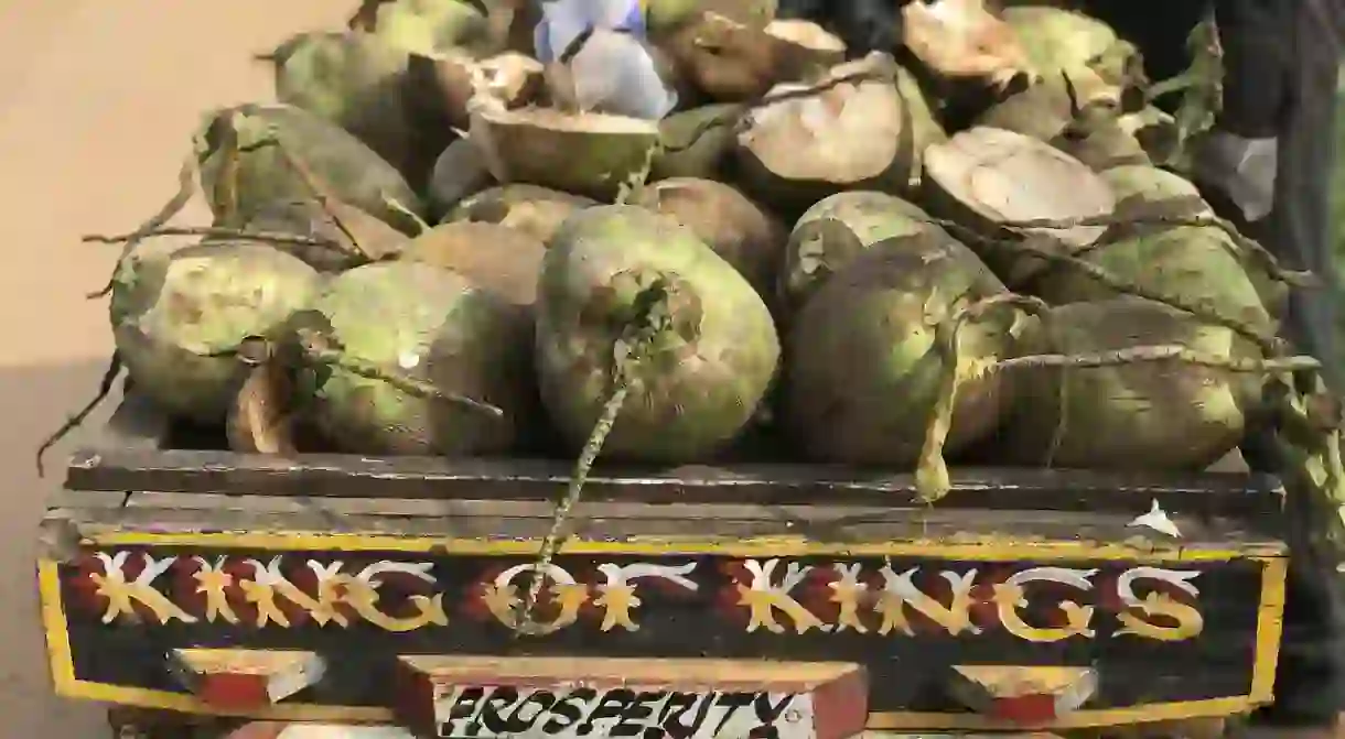 coconuts