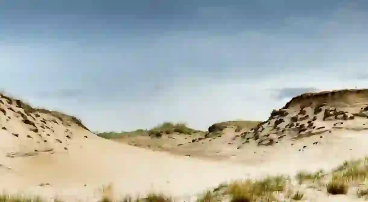 Dunes in the Curonian Spit