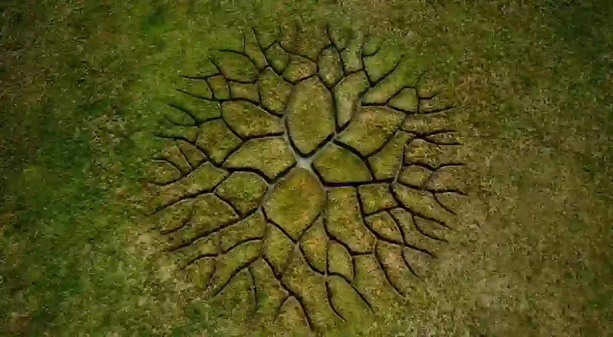 World Tree