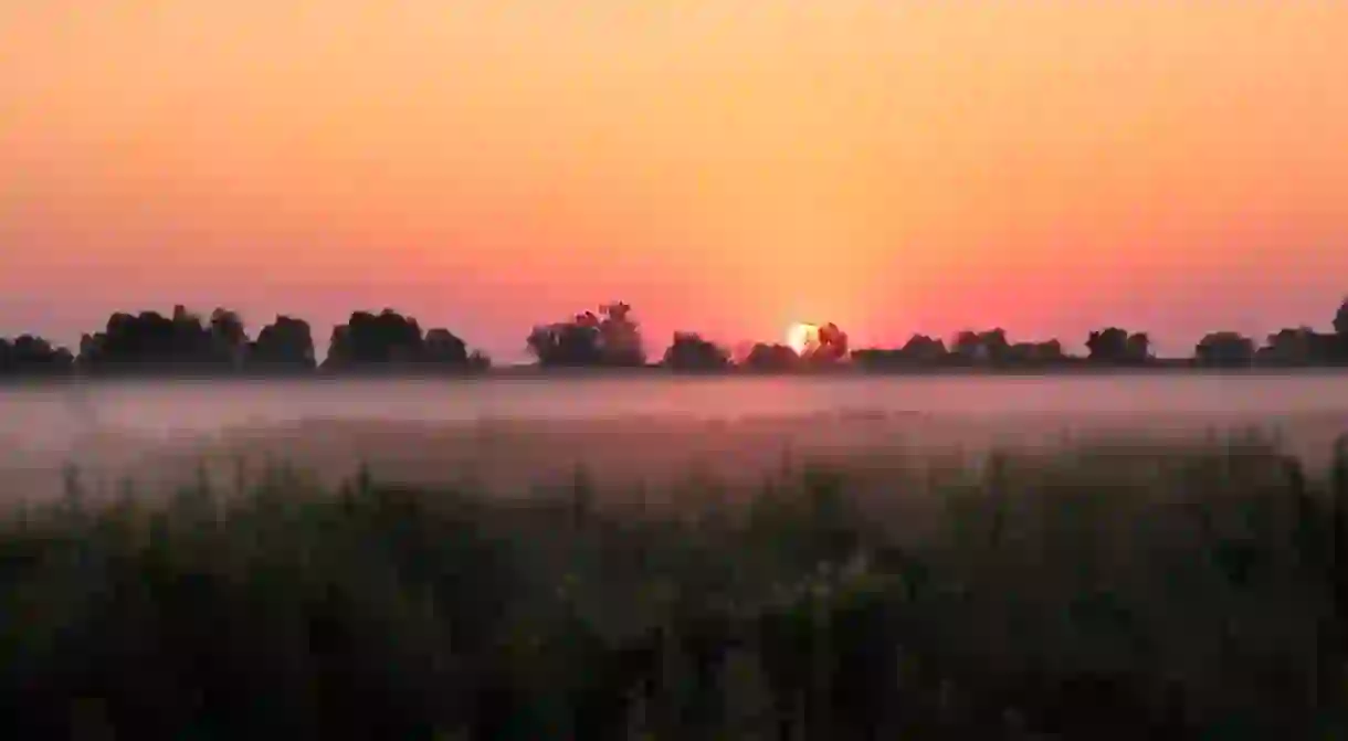 View across a field in Ukraine