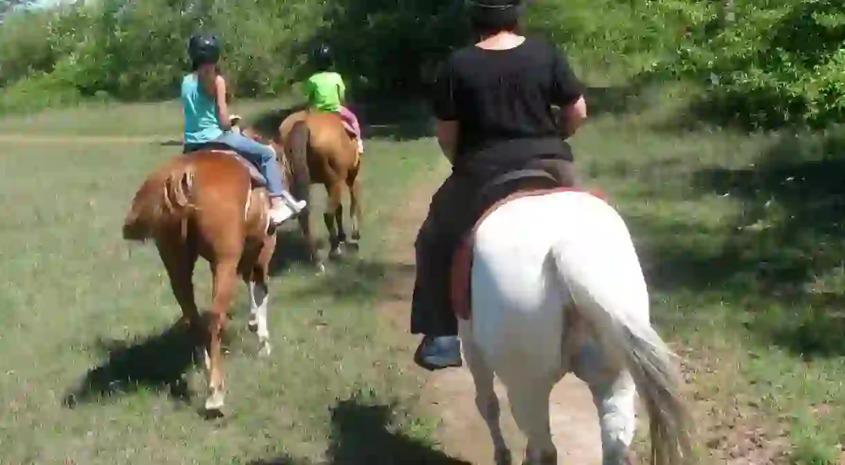 Horseback Riding in Wisconsin