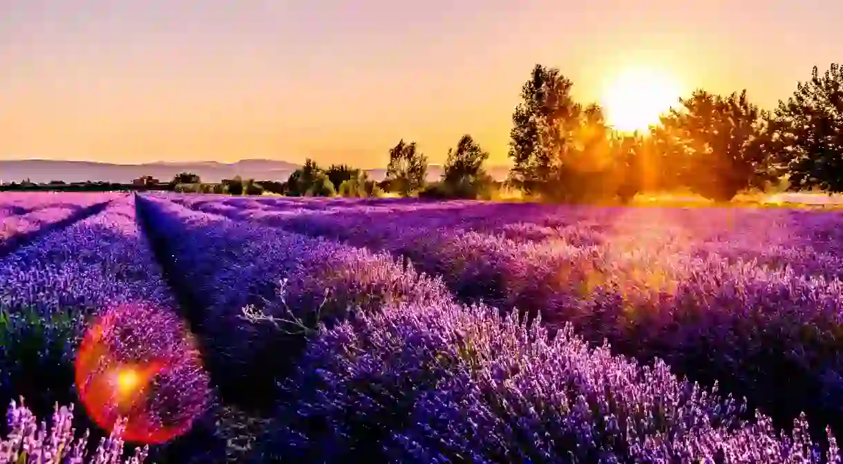 Provence