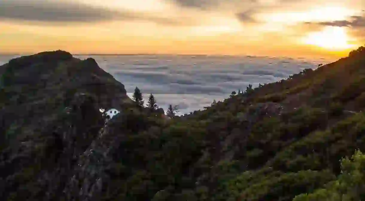 Madeiras mountain tops are incredible