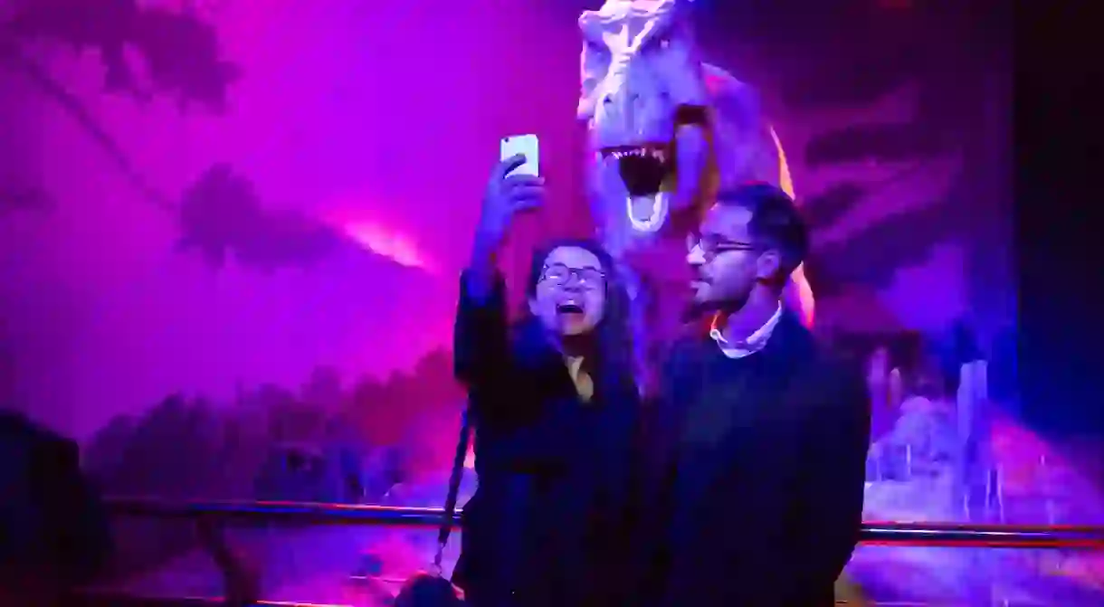 Selfie-taking at the Natural History Museum