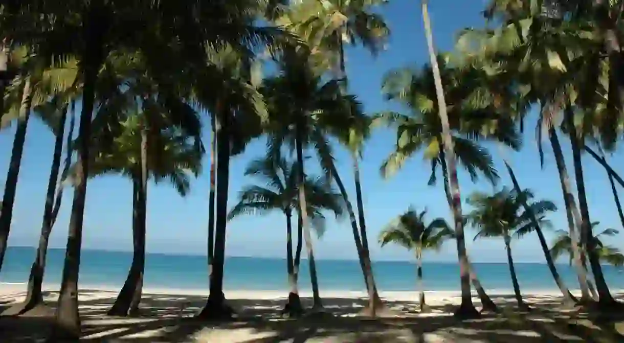 Palm trees line Ngapali Beach, Myanmar