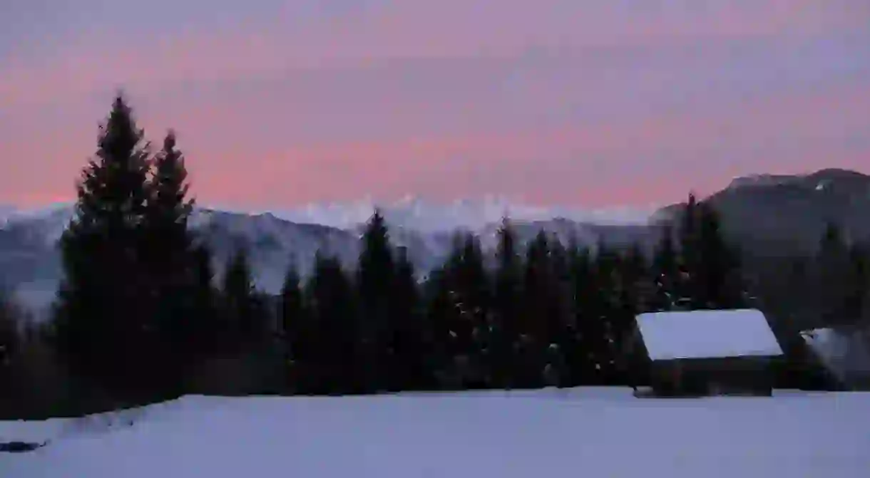 Pokljuka Plateau in the Winter