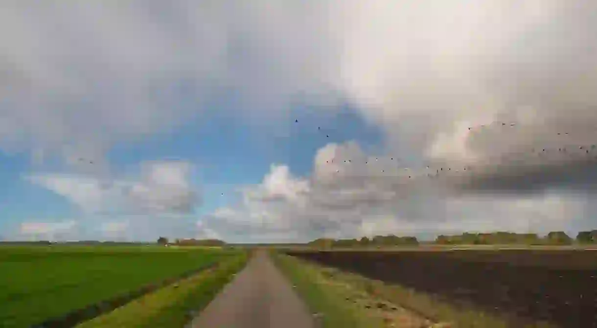 A country road in the Netherlands