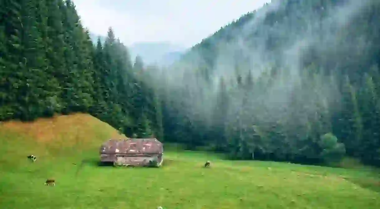 Romanian landscape