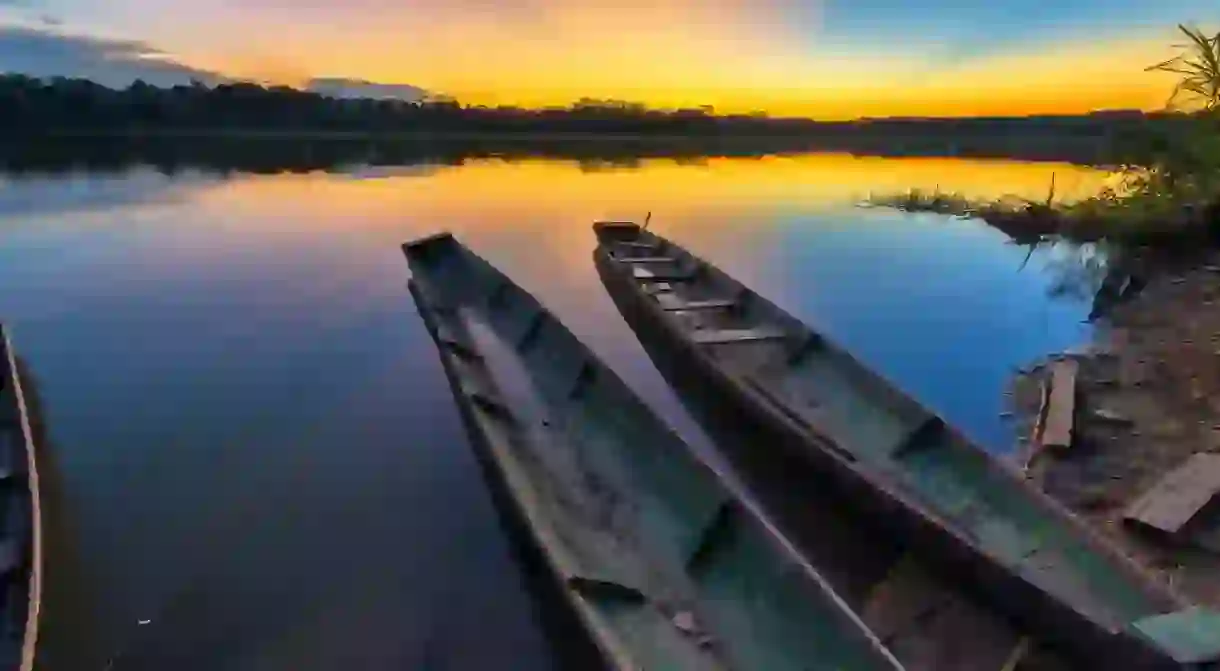 Amazon rain forest in Bolivia in Madidi National