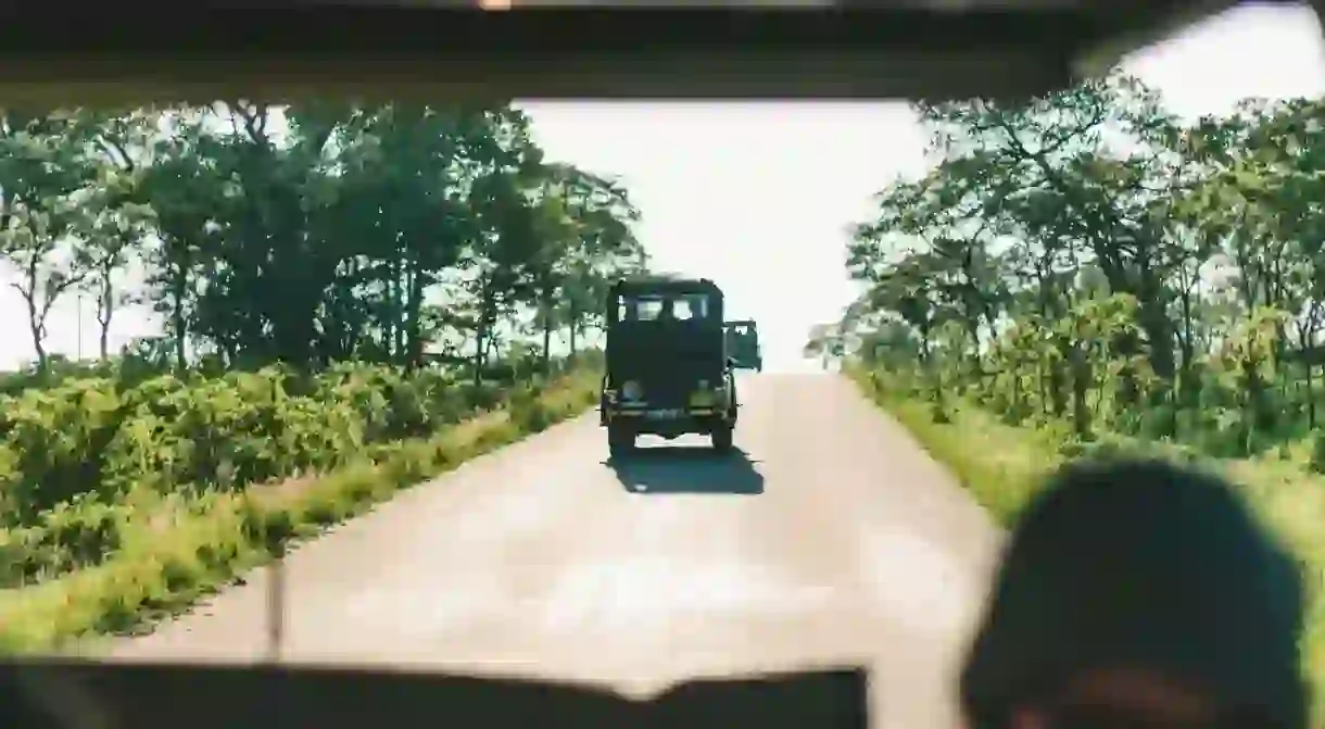 When on a game drive in a national park, dont leave the vehicle to pet animals