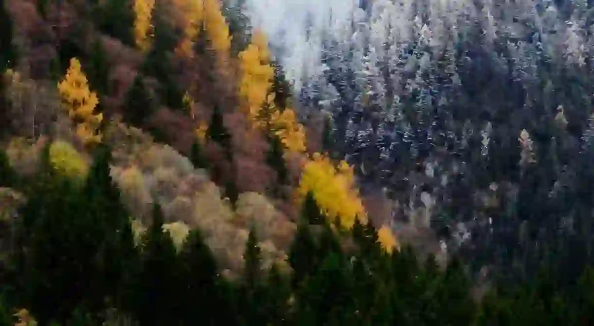 Autumn in Jiuzhaigou