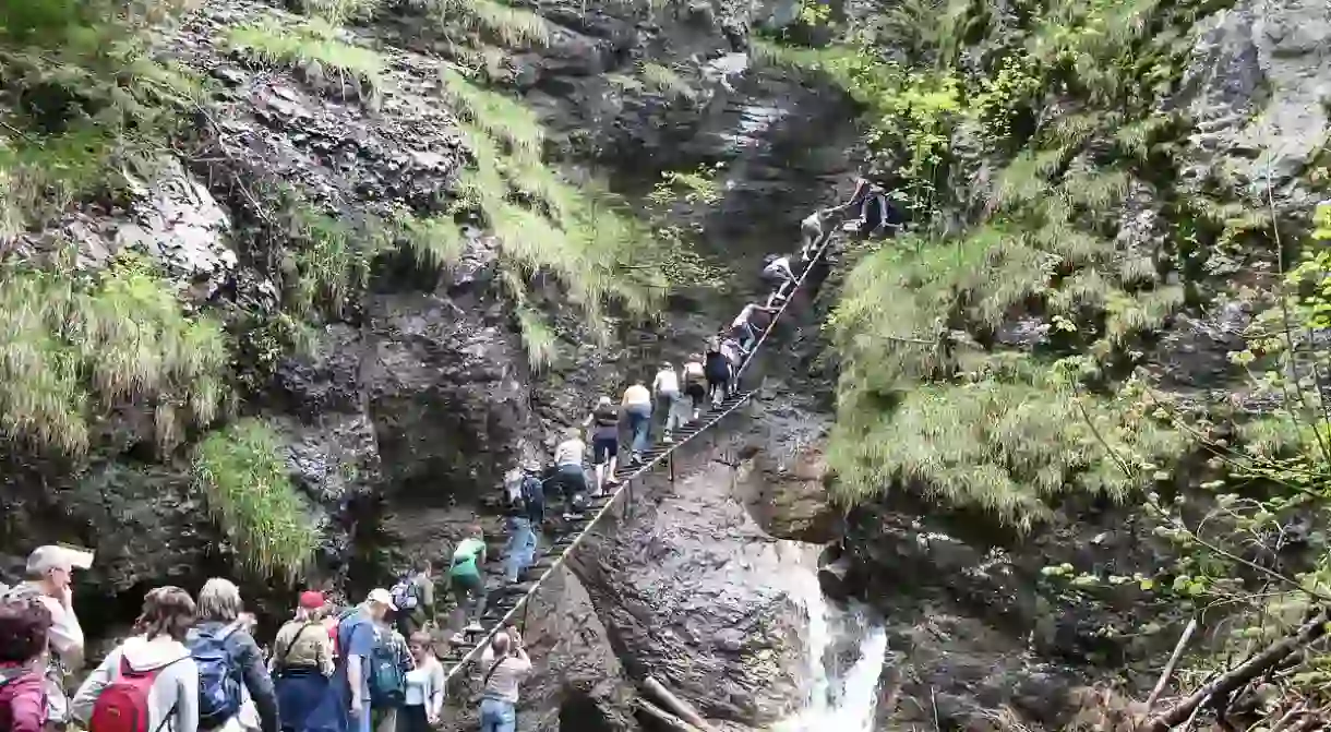 Hikers enjoy the challenging ladders which navigate the slippery rocks in the Sucha Bela Gorge